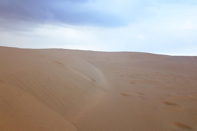 4 Days Tour In Doha | City Tour | North Tour | Desert Safari | West Tour - Day four: Camels, rock formations, and Richard Serra’s sculpture
