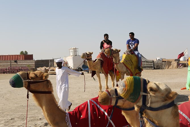 4 Hour Desert Safari, Camel Ride & Inland Sea Beach - Camel riding and the falcon photo stop