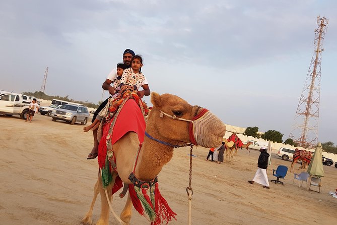 4 Hour Desert Safari, Camel Ride & Inland Sea Beach - Where the desert meets the Inland Sea