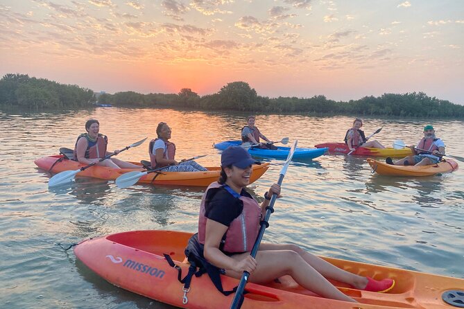 4 Hours Purple Island Mangroves Kayaking Adventure in Qatar - Why Al Thakira feels so far from Doha