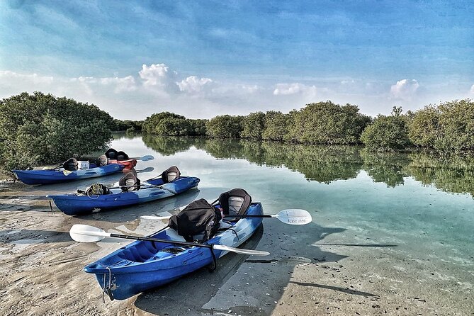 4 Hours Purple Island Mangroves Kayaking Adventure in Qatar - Wildlife watching without a zoo atmosphere