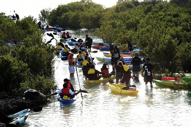 4 Hours Purple Island Mangroves Kayaking Adventure in Qatar - How the private format changes the day