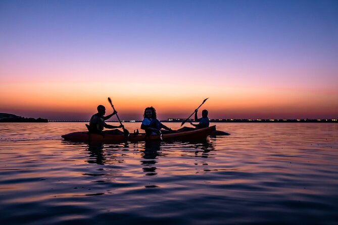 4 Hours Purple Island Mangroves Kayaking Adventure in Qatar - Who will enjoy this Qatar kayaking tour most