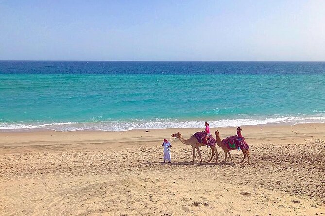 4hr Desert Safari: Sunset,Sunrise,Camel,Sand boarding,Inland Sea - What this Doha desert safari actually offers