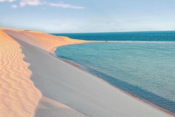 4hr Desert Safari: Sunset,Sunrise,Camel,Sand boarding,Inland Sea - Sandboarding gives you the best active stop