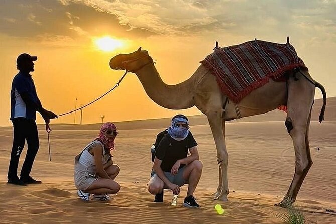 Camel Safari in Desert with Pickup and Drop off in Doha - Is $185 a good value?