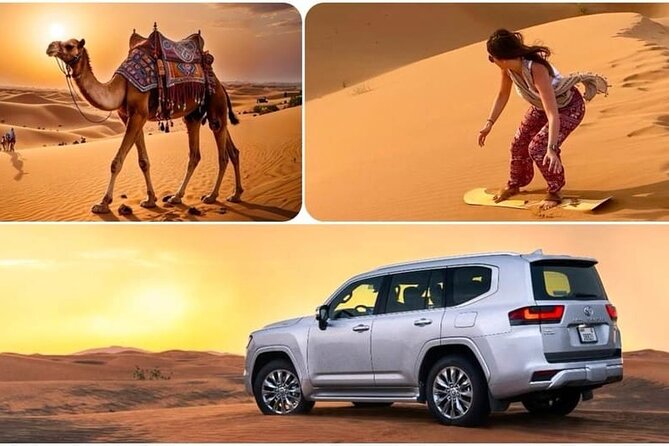 Camel Safari in Desert with Pickup and Drop off in Doha - The camel ride and what it really feels like