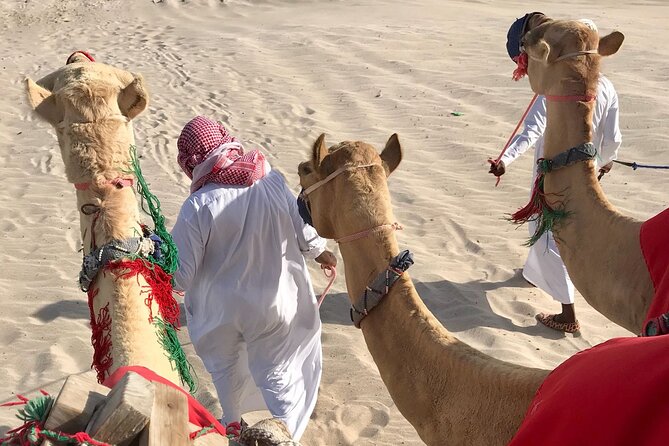 Camel trekking on the Dunes with Sunset - What the guides add to the afternoon