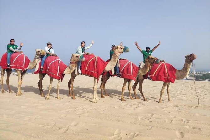 Camel trekking on the Dunes with Sunset - Why Sealine makes a good first desert stop