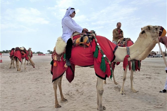 Combo Culture & Adventure: North Qatar Heritage & Desert Safari - Starting in Doha and heading north