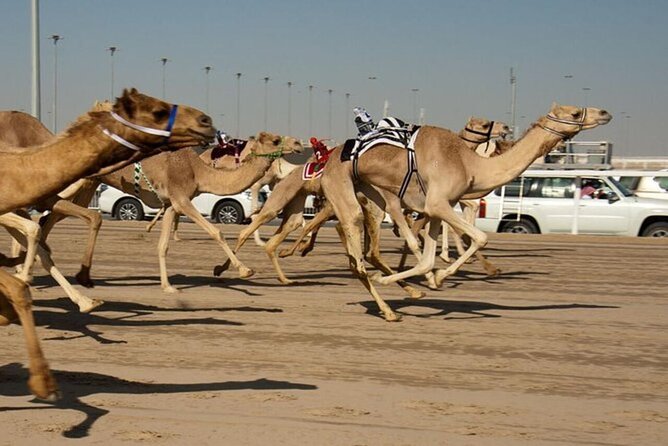 Combo West and North of Qatar Tour - Guides, photographs, and the private format
