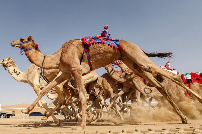 Cultural & Thrills: Sheikh Faisal Museum & Camel Race Adventure - The Sheikh Faisal Museum’s Four Main Collections