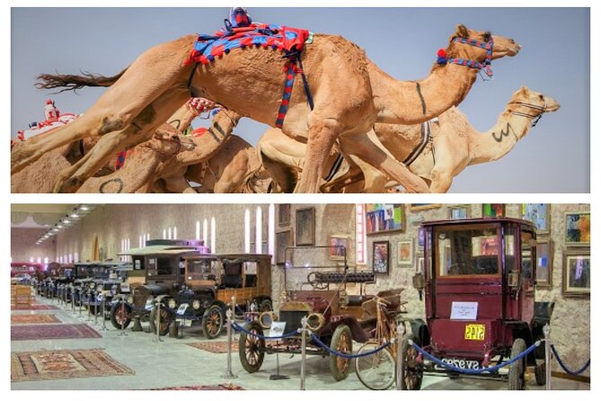 Cultural & Thrills: Sheikh Faisal Museum & Camel Race Adventure - Al Shahaniya Camel Race Track and Qatar’s Racing Tradition