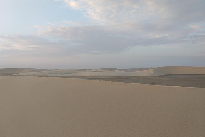 Desert Combo safari, Camel ride, Quad Bike and Dune Bashing(ALL INCLUSIVE) - From Doha to Mesaieed, the desert starts gradually