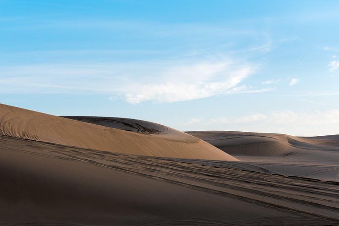 Desert Combo safari, Camel ride, Quad Bike and Dune Bashing(ALL INCLUSIVE) - The camel ride is short, traditional, and quite commercial