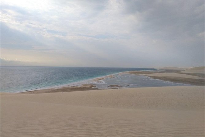 Desert Combo safari, Camel ride, Quad Bike and Dune Bashing(ALL INCLUSIVE) - Dune bashing is the main adrenaline hit