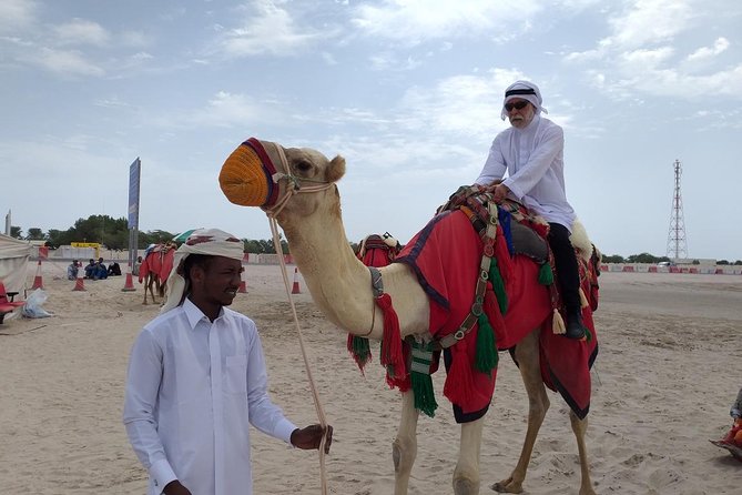 Desert Combo safari, Camel ride, Quad Bike and Dune Bashing(ALL INCLUSIVE) - What the $100 price really covers