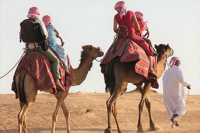 Desert Combo safari, Camel ride, Quad Bike and Dune Bashing(ALL INCLUSIVE) - Sealine Beach is the gateway to the open dunes