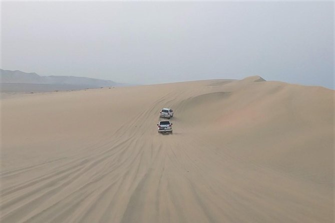 Desert Dune Bashing, Camel Ride, Sandboarding & Inland Sea. - The Inland Sea viewpoint