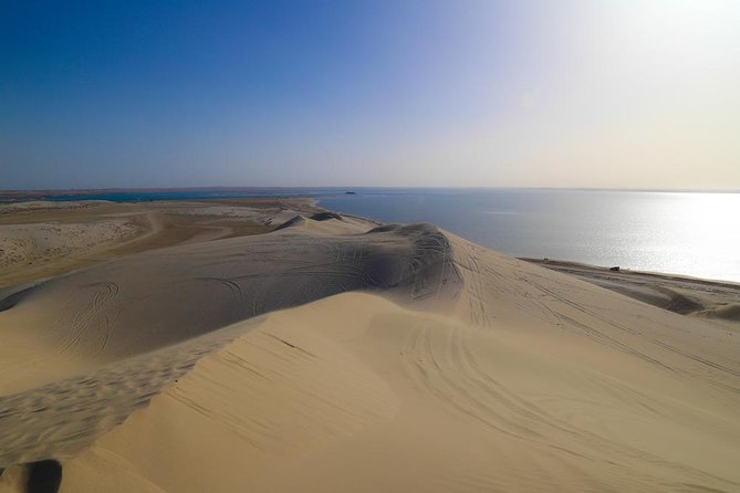 Desert Dune Bashing, Camel Ride, Sandboarding & Inland Sea. - Is $52 a fair price?