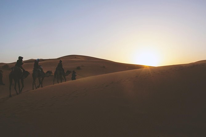 Desert Dune Bashing, Camel Ride, Sandboarding & Inland Sea. - Who will enjoy this desert outing most?