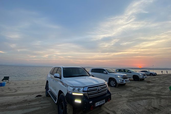 Desert Safari 7 Hours Tour with Dinner and Camp - Camel rides, quad bikes, falcons, and sand boarding