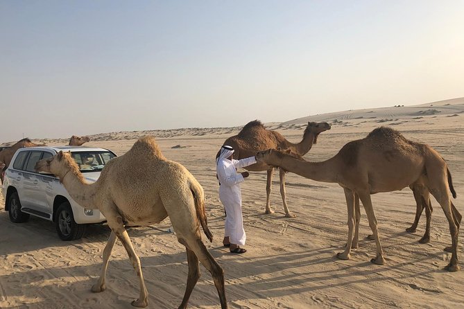 Desert Safari 7 Hours Tour with Dinner and Camp - Is $270 per person good value?