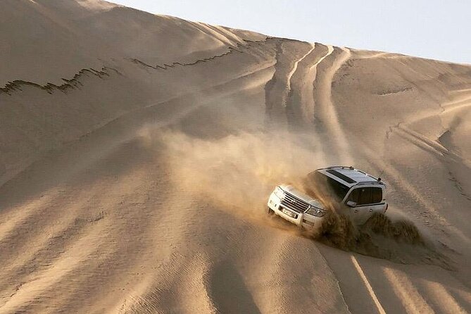 Desert Safari and Inland Sea(Private Tour) - Guides make the difference