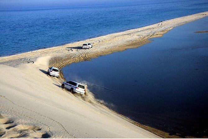 Desert Safari and Inland Sea(Private Tour) - Mesaieed Beach brings camels, falcons, and tea