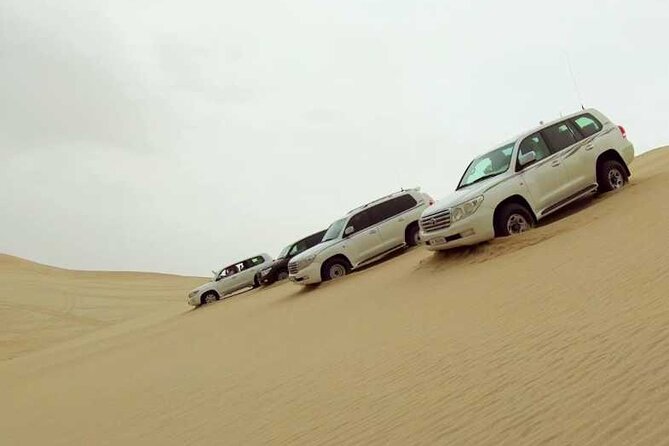 Desert Safari, Camel ride and Inland Sea Tour - Starting at Sealine Beach and the camel base camp
