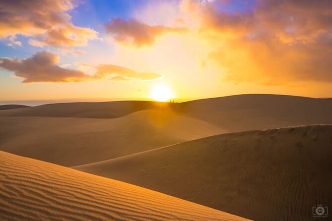 Desert Safari, Camel ride and Inland Sea Tour - Is $84 per person a fair price?