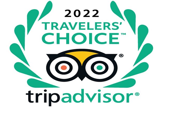 Desert safari, Dune bashing, sandboarding, camel, ATV Option - Key points to know before booking