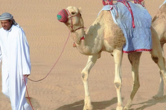Desert safari, Dune bashing, sandboarding, camel, ATV Option - Leaving Doha in a private 4x4