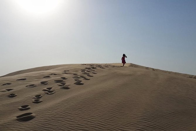 Desert safari, Dune bashing, sandboarding, camel, ATV Option - Sandboarding is simple, sandy, and fun