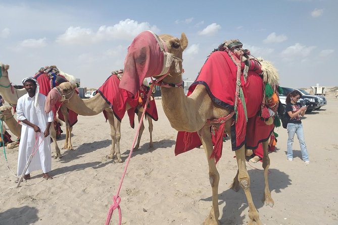 Desert safari, Dune bashing, sandboarding, camel, ATV Option - Optional ATVs add 30 minutes of motorized fun
