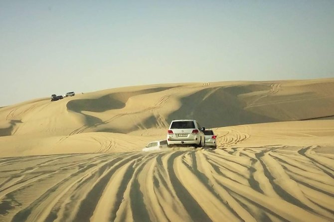 Desert safari, Dune bashing, sandboarding, camel, ATV Option - What the $46.55 price really covers
