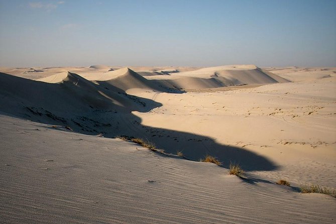 Desert safari, Dune bashing, sandboarding, camel, ATV Option - Timing, comfort, and the return to Doha