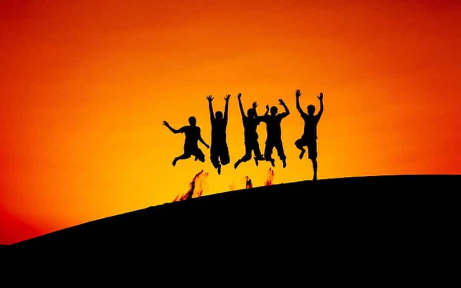 Desert Safari, Dunes Ride, Sand Boarding & Inland Sea Tour - What the $20 price really covers