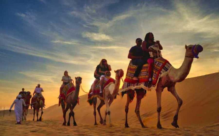 Desert Safari, Dunes Ride, Sand Boarding & Inland Sea Tour - Pickup from Doha and the ride toward Sealine