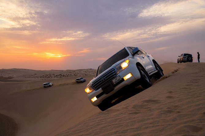 Desert Safari & Keshta | (Private) - Sealine Beach brings camels, falcons, and practical stops