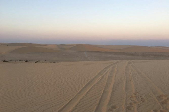 Desert Safari – Morning, Afternoon, Sunrise & Sunset Options - Sandboarding across the dunes