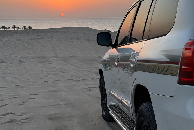Desert Safari Qatar - The camel stop has one important question mark