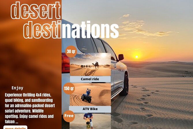 Desert Safari Qatar - What $85 buys you in practical terms