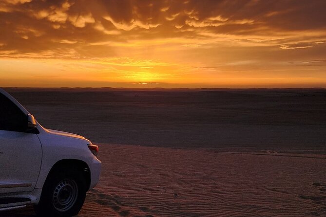 Desert Safari Qatar - Who will enjoy this four-hour safari most