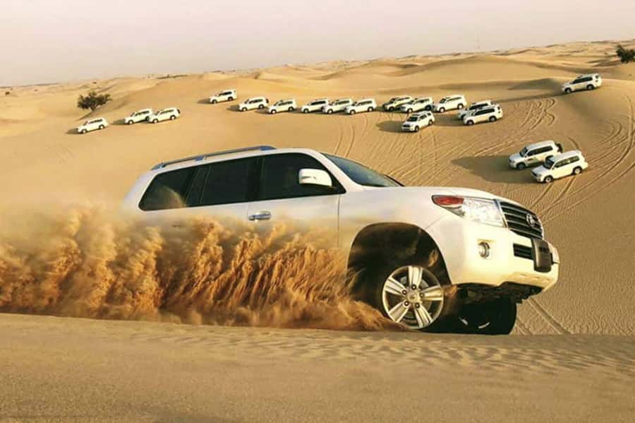 Desert Safari, Quad Bike, Camel Ride, Falcon & Sandboarding - Quick Reasons to Consider This Desert Trip