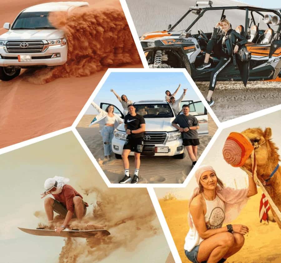 Desert Safari, Quad Bike, Camel Ride, Falcon & Sandboarding - Sealine Beach, Camels, Tea, and a Falcon Photo