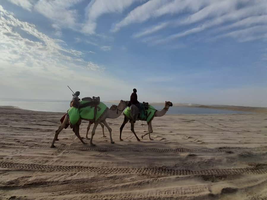 Desert Safari, Quad Bike, Camel Ride, Falcon & Sandboarding - Khor Al Udiad and the Inland Sea