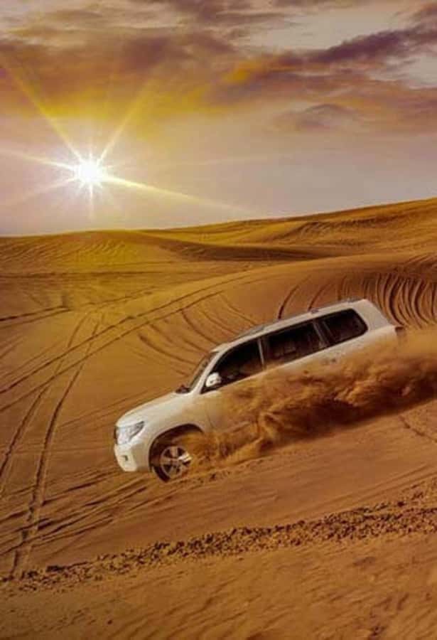 Desert Safari, Quad Bike, Camel Ride, Falcon & Sandboarding - Who Will Enjoy This Most