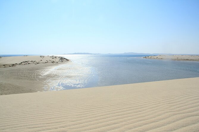 Desert Safari, Quad Bike, Sandboarding and Camel Ride - What the $100 price really covers