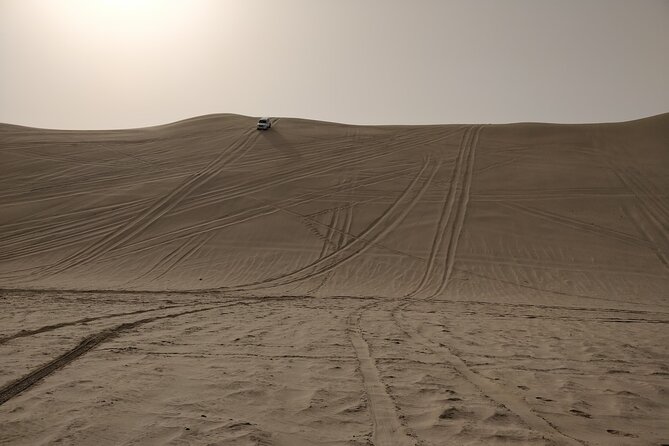 Desert Safari, Quad Bike, Sandboarding and Camel Ride - The guides can shape the whole day